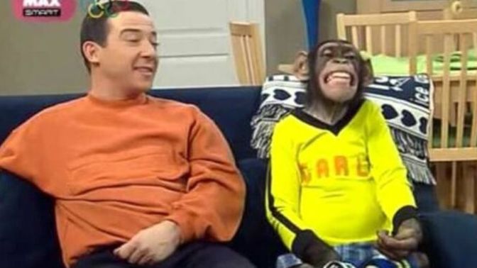 İmkanınız olsa hangi hayvanı beslemek isterdiniz?