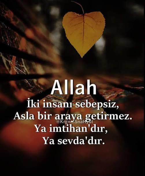 zev ve zevce olarak geçer...