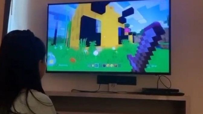 Sevgiliniz "gel hadi Minecraft oynayalım" dese cevabınız ne olurdu?