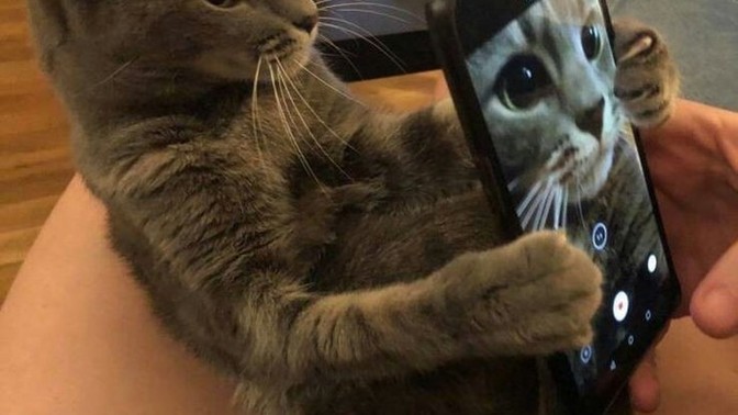 Fotoğraf çekilmekten hoşlanır mısın?