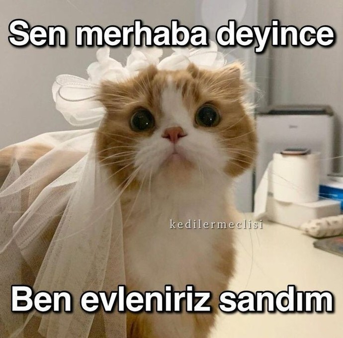 Flörtleşirken kendinizi çabuk kaptırır mısınız?