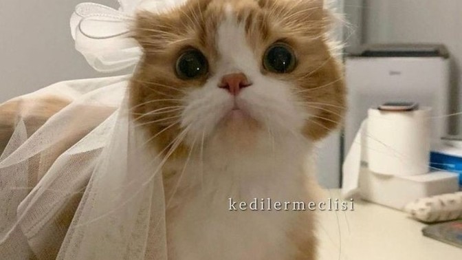 Flörtleşirken kendinizi çabuk kaptırır mısınız?