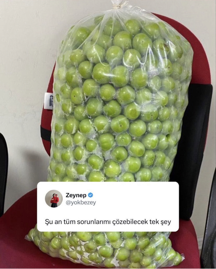 Sorunlarınızı çözecek olan şey nedir?