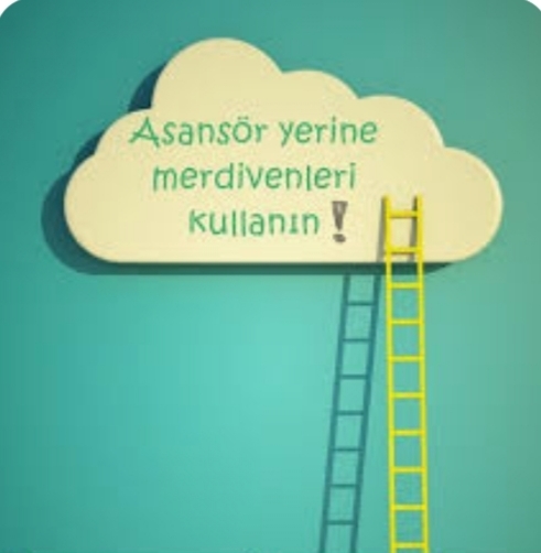 Asansör mü, merdiven mi hangisini daha çok kullanıyorsunuz ve neden?