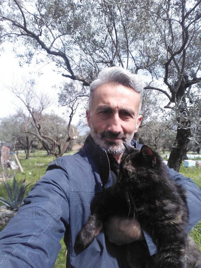 Kedileri sever misiniz?