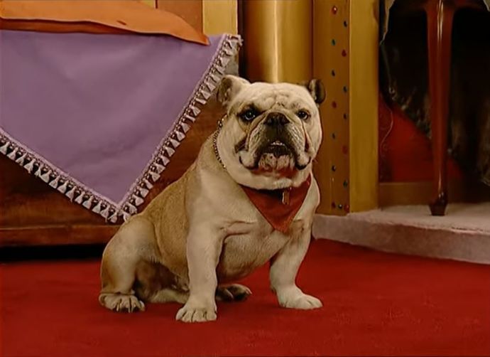 Sihirli Annemde Dudu Peri kocasını köpeğe dönüştürmekte haklı mıydı?