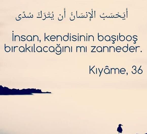 Sizi etkileyen ayet var mı?