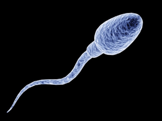 Sperm sayısı düşüklüğü yaşıyorum ne yapabilirim?