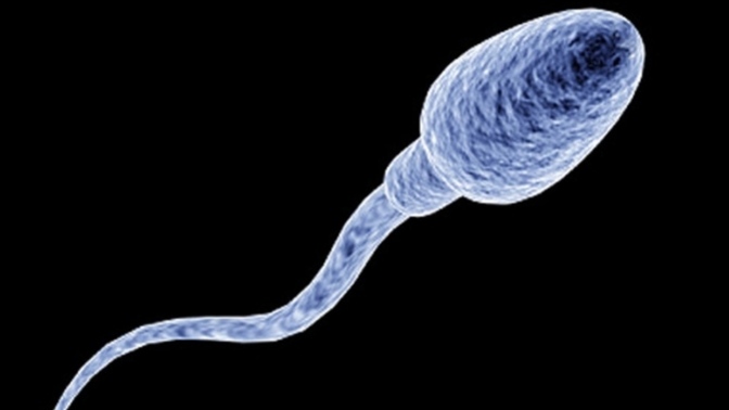 Sperm sayısı düşüklüğü yaşıyorum ne yapabilirim?