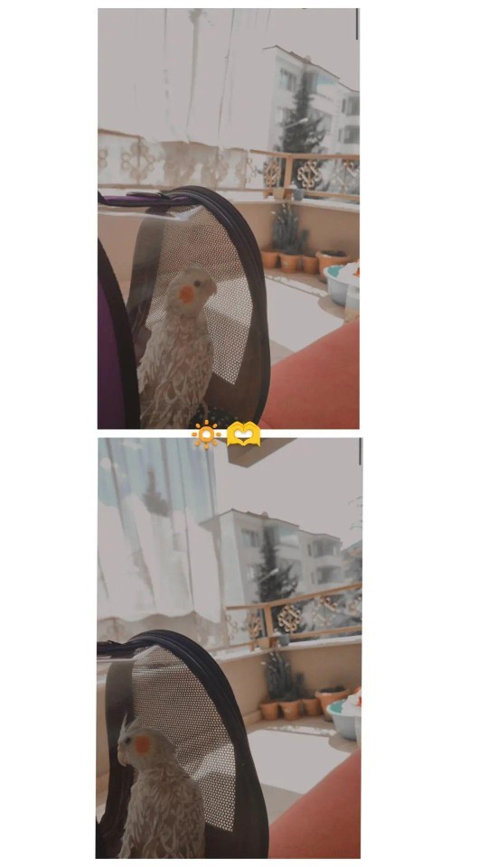 Nasıl bir gün geçiriyorsunuz?