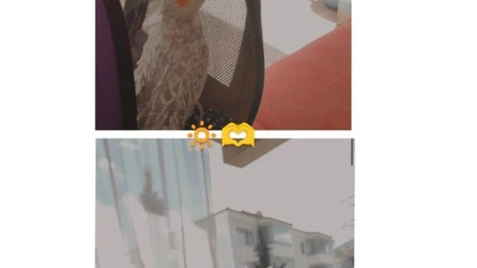 Nasıl bir gün geçiriyorsunuz?