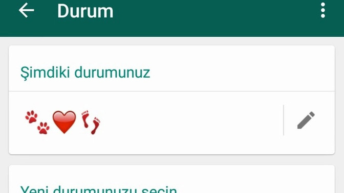 WhatsApp hakkınızda ne yazıyor?