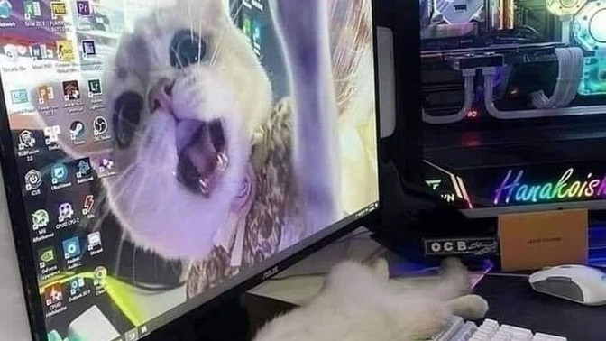 Haydi herkes bilgisayarında ana ekranda ki fotoğrafını bıraksın?