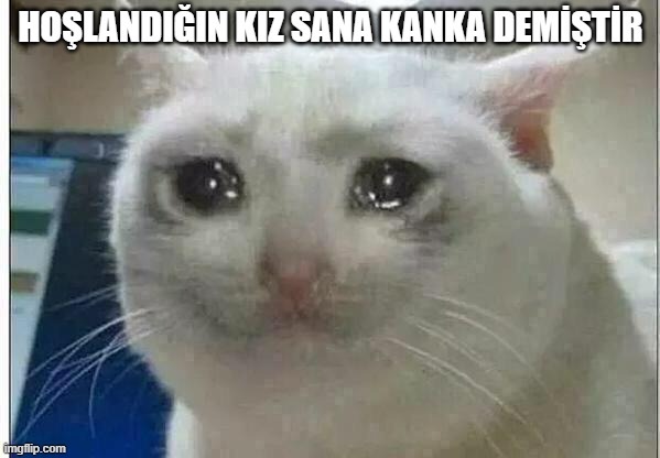 Hoşlandığınız kişi size kanka diye hitap edince çöküş yaşıyor musunuz?