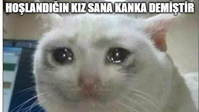 Hoşlandığınız kişi size kanka diye hitap edince çöküş yaşıyor musunuz?