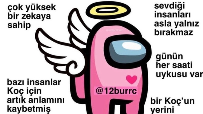 Sizin burcunuz ne ve burcunuzun hangi özelliklerini taşıyorsunuz 😌?