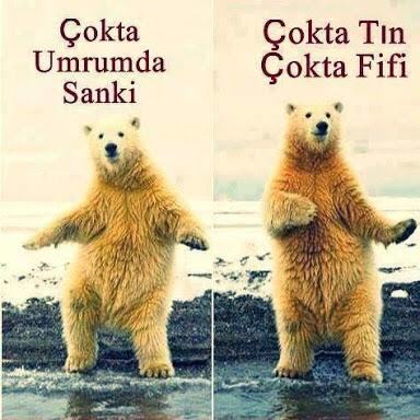Umursamaz mısınızdır?