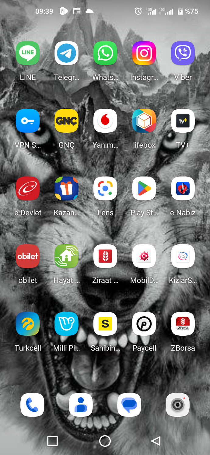 Telefonunuzda hangi uygulamamalar var görelim mi?