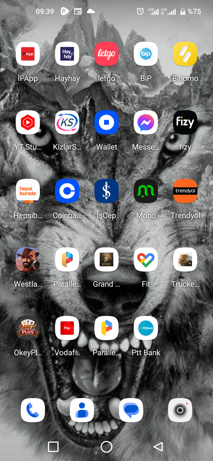 Telefonunuzda hangi uygulamamalar var görelim mi?