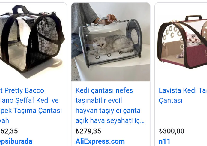 Kedimi taşımak için kafes mi yoksa çanta mı almalıyım?