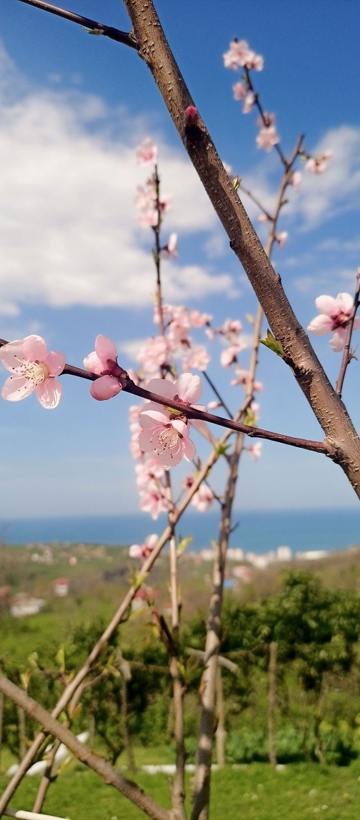 Mevsimlere aşık olunacaksa o hangi mevsim olmalı?