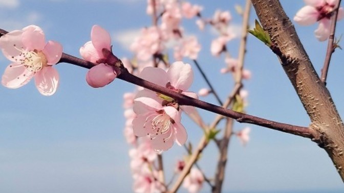 Mevsimlere aşık olunacaksa o hangi mevsim olmalı?