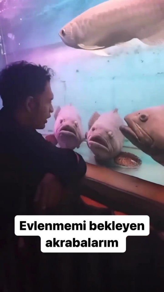 Evlenmenizi bekleyen birileri var mı?