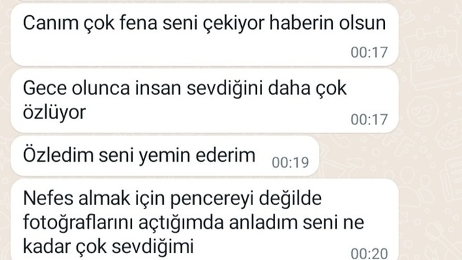 Uyurken erkek arkadaşım mesaj atmış, "canım seni çekiyor" lafında art niyet aramalı mıyım?