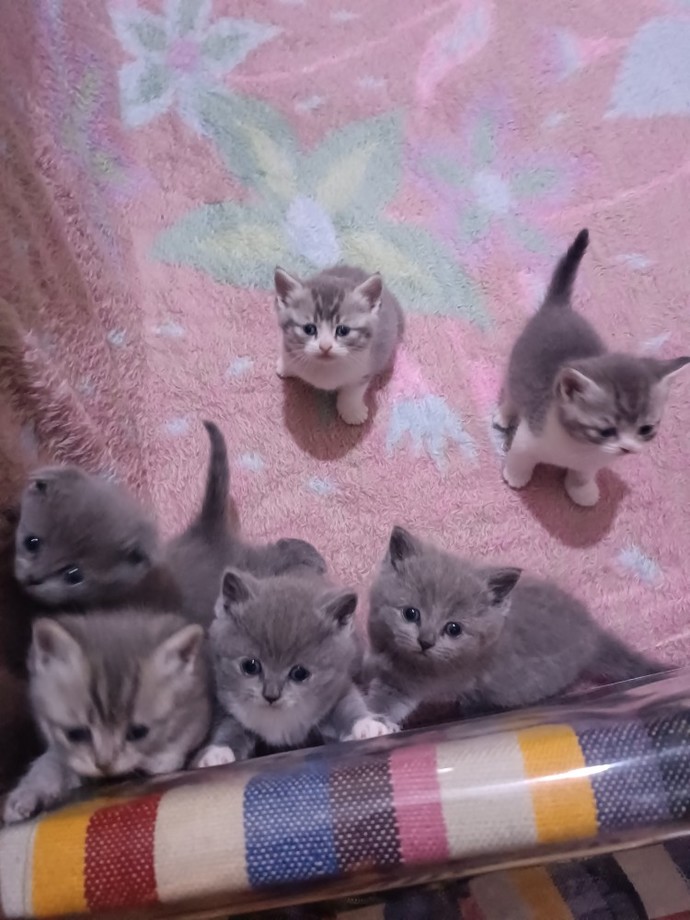 Ben bu zibidilerle ne yapıcam 🙄😂?