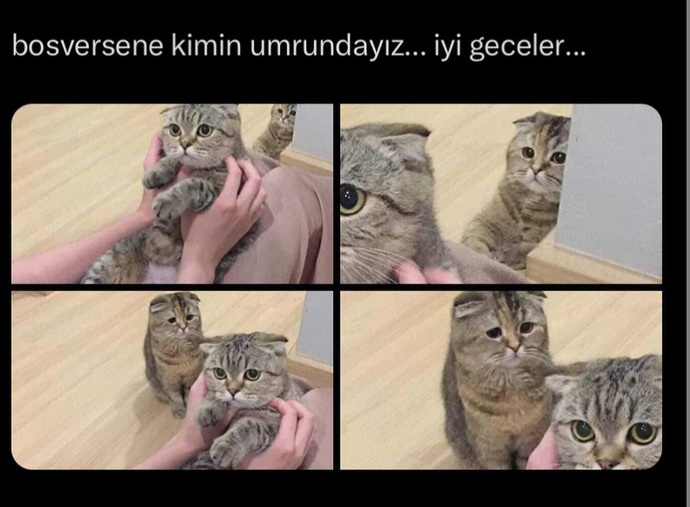 Sevdiğin seninle ilgilenmezse ne yaparsın 🥺?