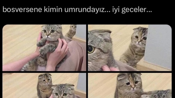 Sevdiğin seninle ilgilenmezse ne yaparsın 🥺?