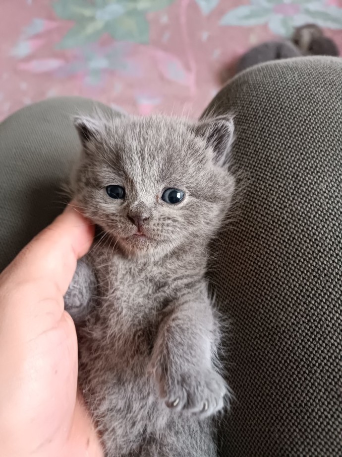 Sahurcu tayfa, biz minnoş kızımla sahuru bekliyoruz. Hangi isim daha çok gider kızıma?