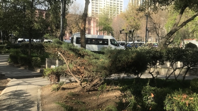 Bugün pek güzel değil mi ya?