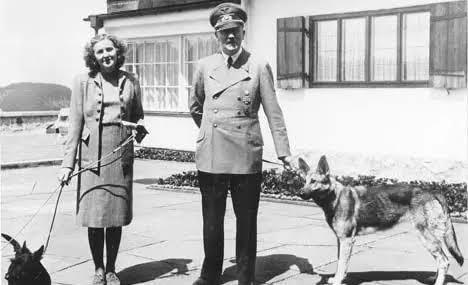 Hangi Tür Köpek Senin Ruh İkizin?
