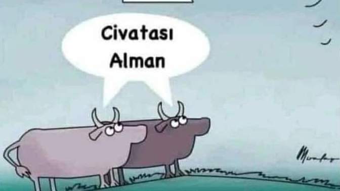 Diyen çıkmadı mı hala 😁?