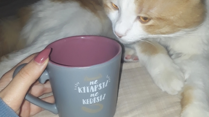 Koleksiyon yaptığınız bir eşya var mı?