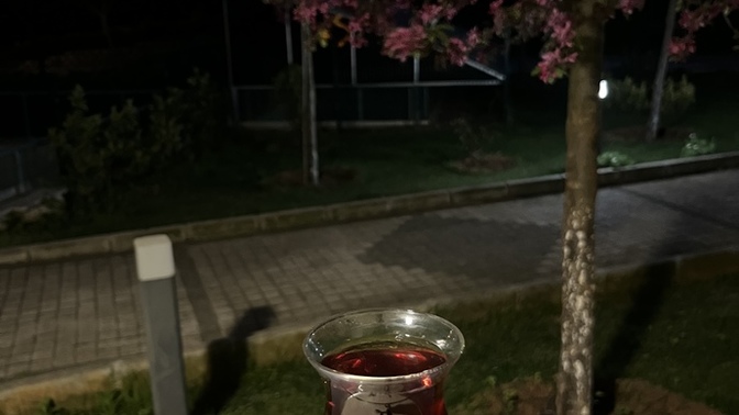 Siteden kiminle çay içmek istersiniz?