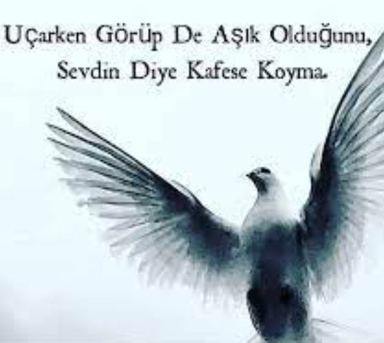 Sevgiliniz karşı cins kankasıyla starbucksta latte içebilir mi?