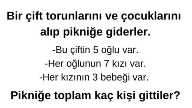 Pikniğe toplam kaç kişi gitmiştir?