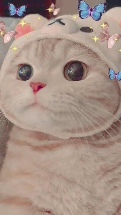 Erkekler neden tanımadığı bir kızı Instagramdan ekler?