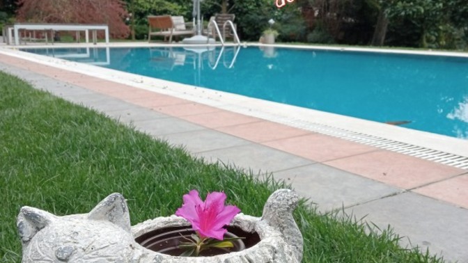 Yaz sezonu açıldı, planlarınız neler?