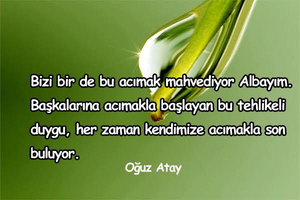 Özlü sözler den etkilenirmisiniz?
