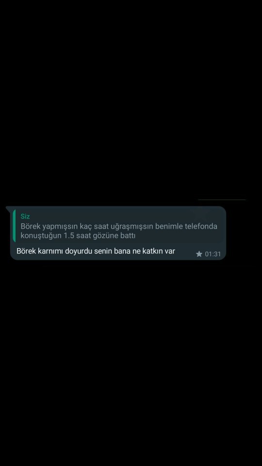 Sizce ne amaçla söyledi?