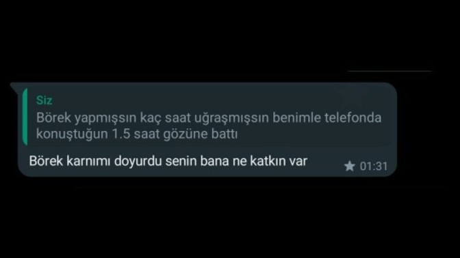 Sizce ne amaçla söyledi?