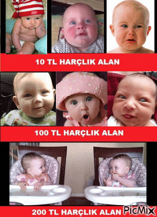 WNDJCNDNFNC