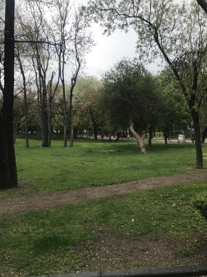 Hava çok güzel değil mi ama ya?