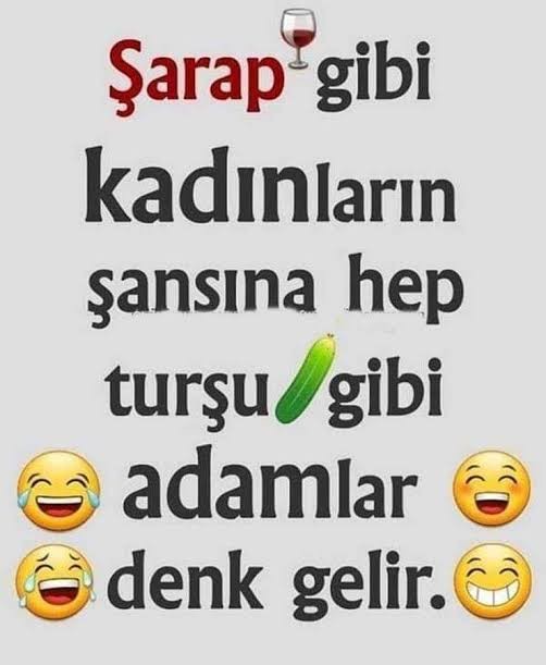 Böyle güzel bir kadının böyle çirkin bir adama aşık olup evlenmesi çok aptalca deilmi?