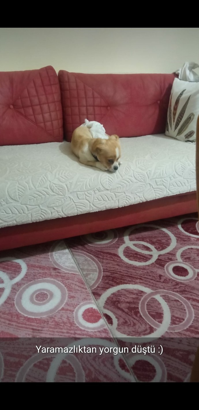 Kaybettiğiniz sadece bir kişi dönecek?
