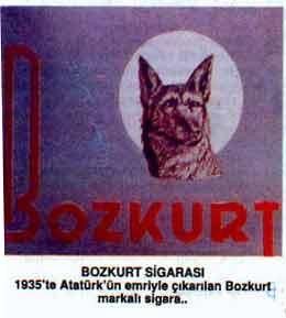 Atatürkün bozkurt sigarası