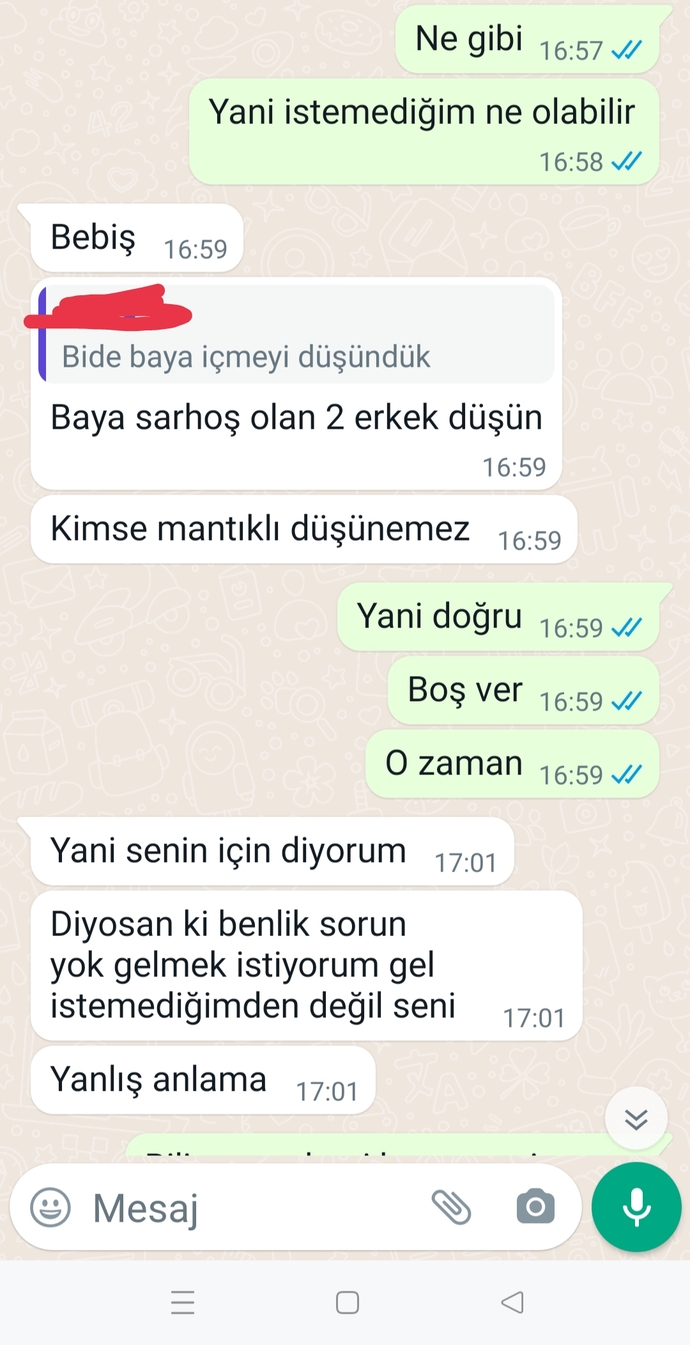 Sizce olayı abartmış mıyım veya yanlış mı anlamışım? Fotoğraflı?